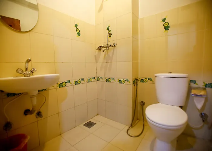 Hotel Nandini 2*