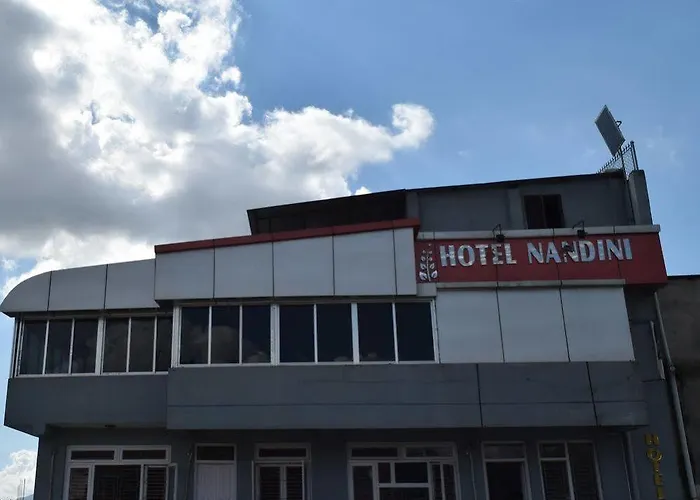 Hotel Nandini 2*